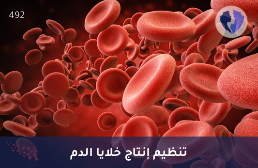 فحص طفرات خلايا الدم - فحص طفرة جين (JAK2)