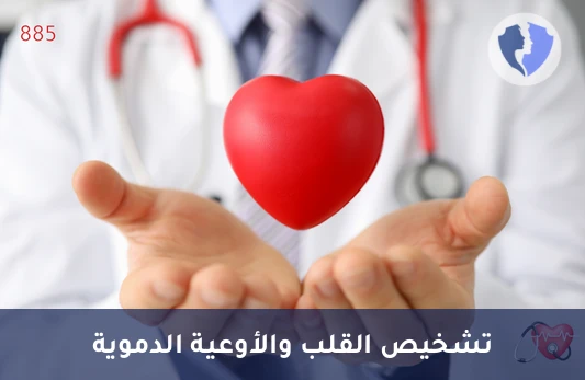 استشارة استشاري أمراض قلب - كشف استشاري أمراض قلب