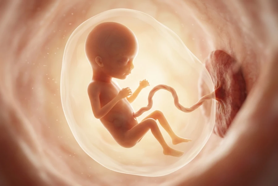 16 Weeks Pregnant