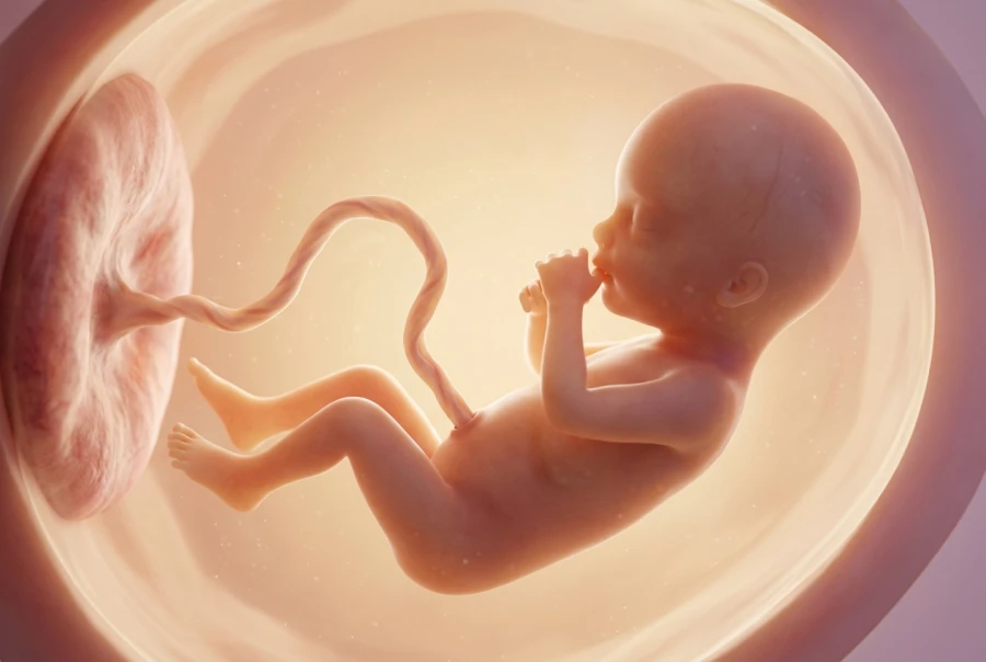 19 Weeks Pregnant