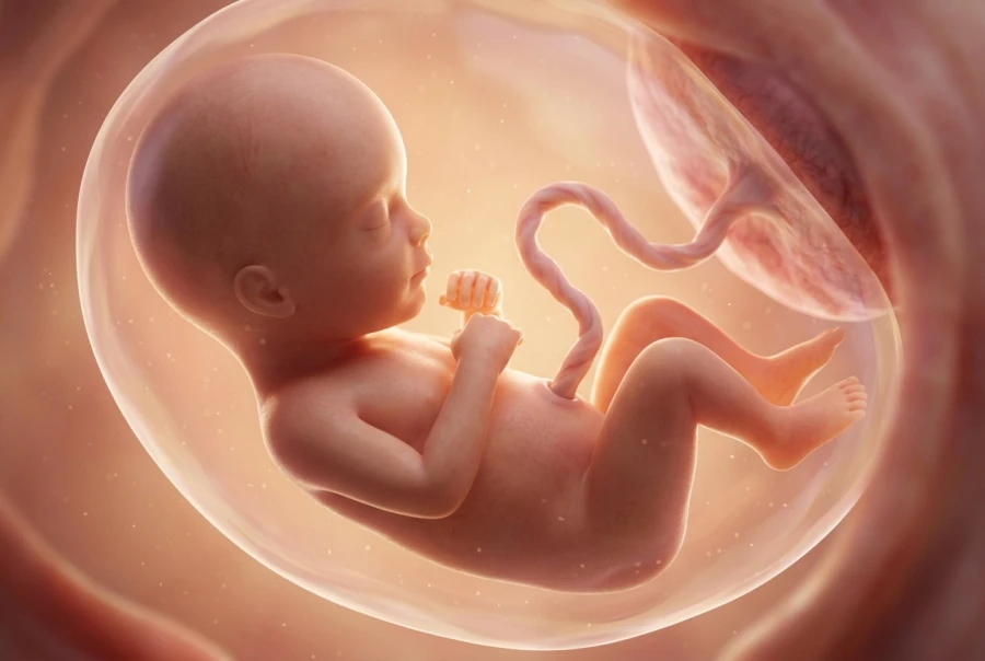 27 Weeks Pregnant